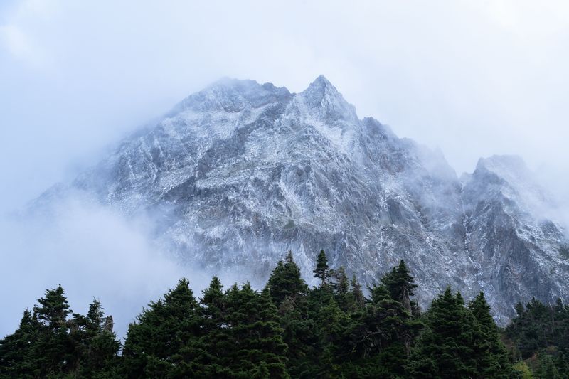 A snow-dusted peak rising out of fog above a line of dark firs in the North Cascades